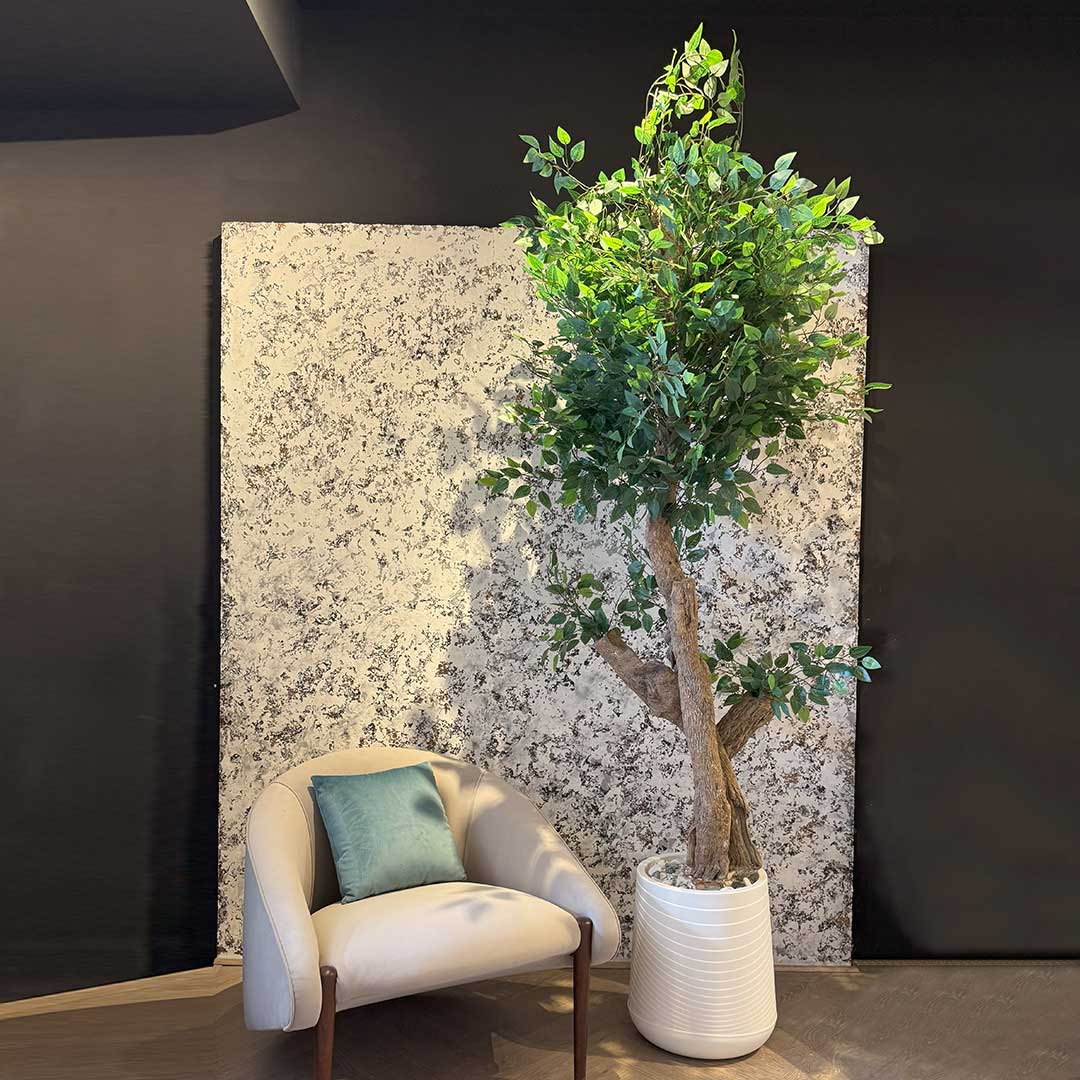 Ficus Tree with Medium Spiral Planter