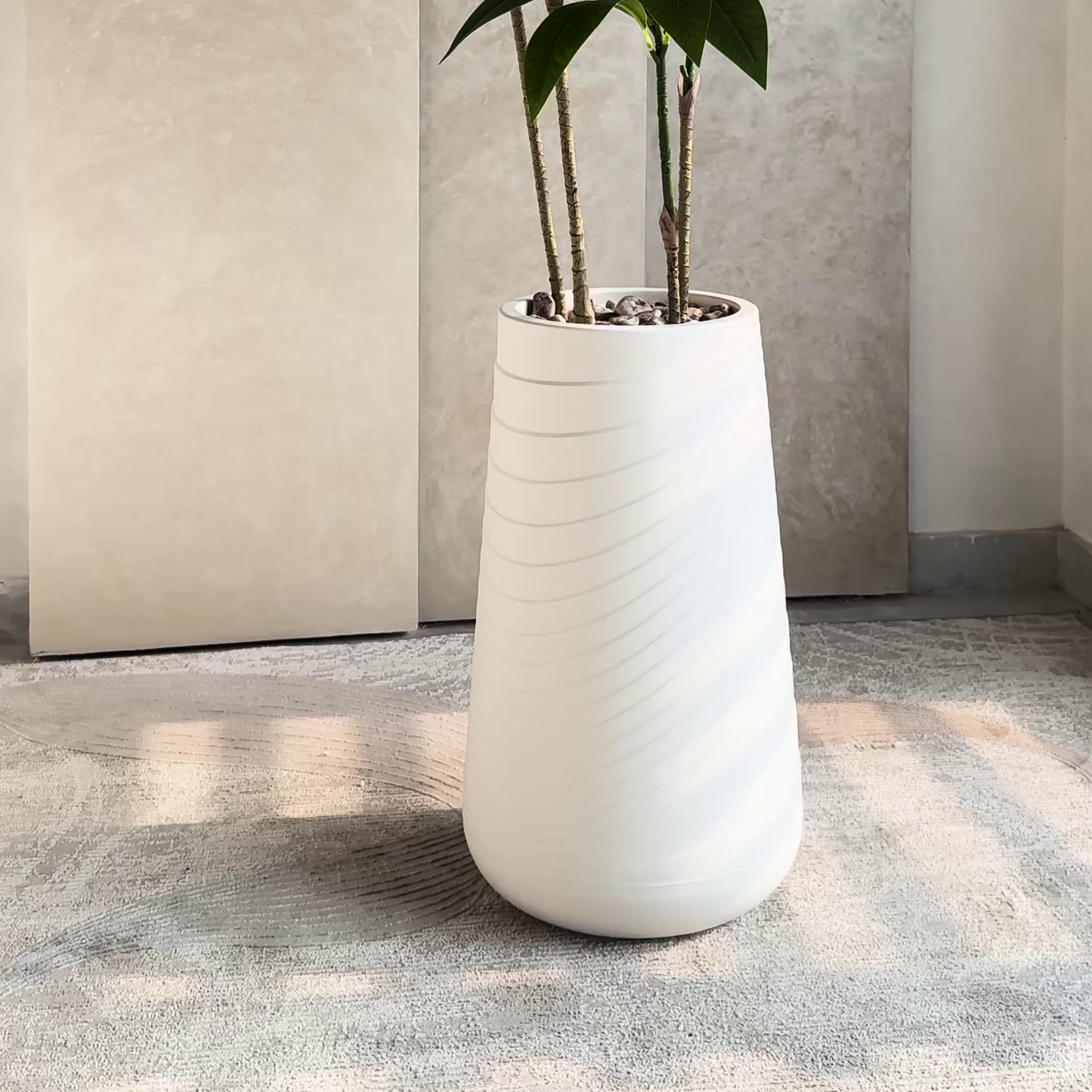 Plumeria Small with Medium Spiral Planter
