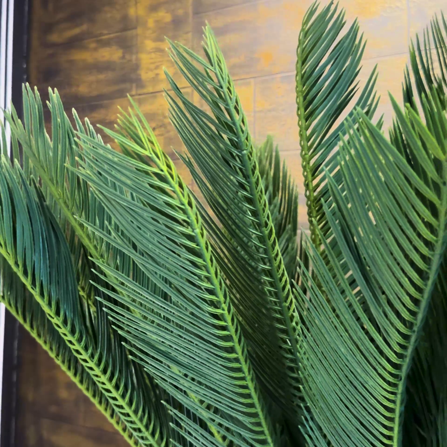 Cycus Palm with Small Spiral Planter