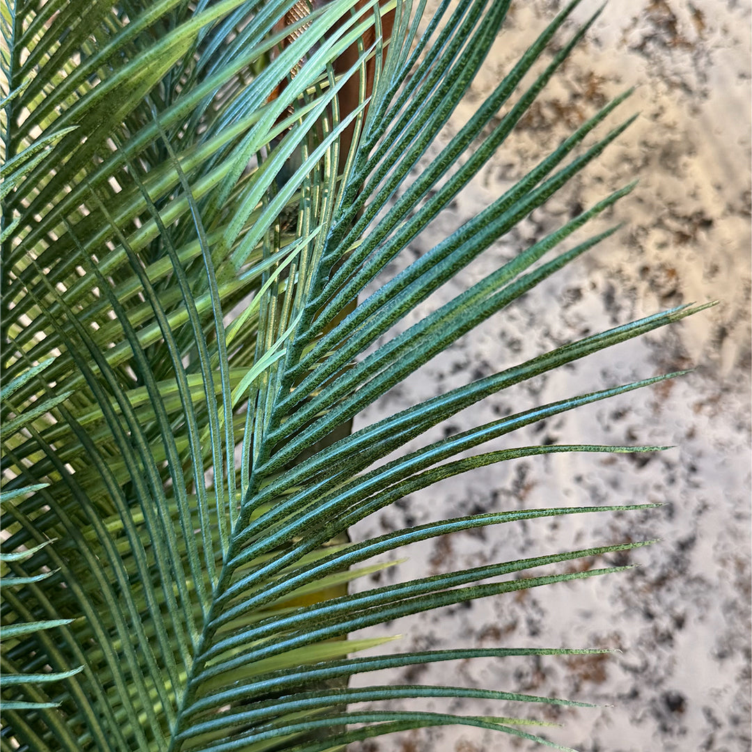 Sago Palm Large