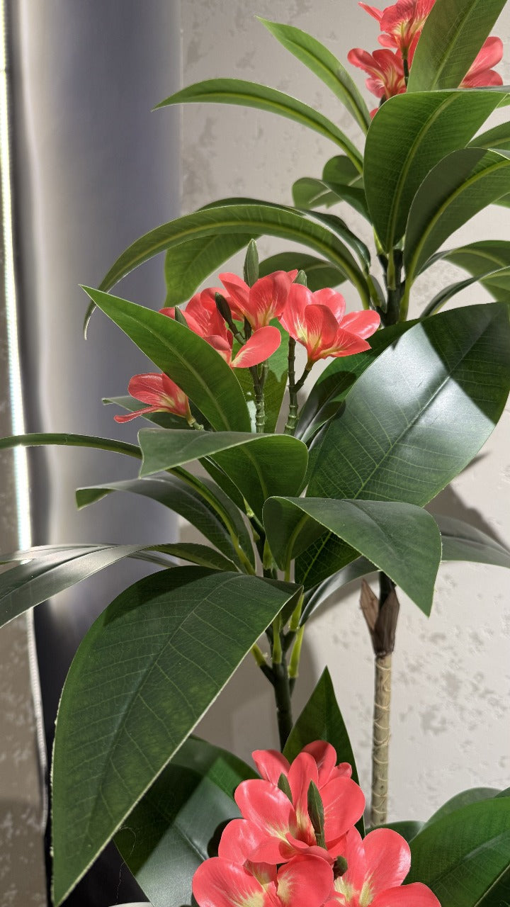 Plumeria Medium with Large Spiral Planter