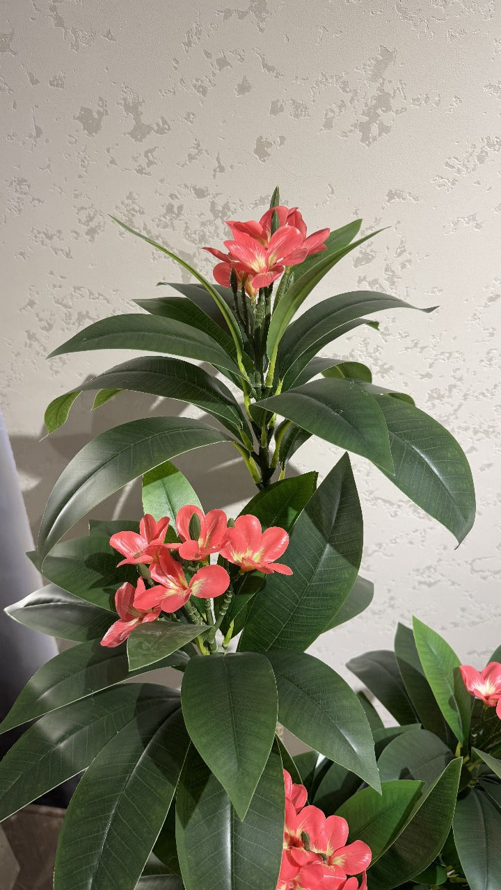 Plumeria Medium with Large Spiral Planter