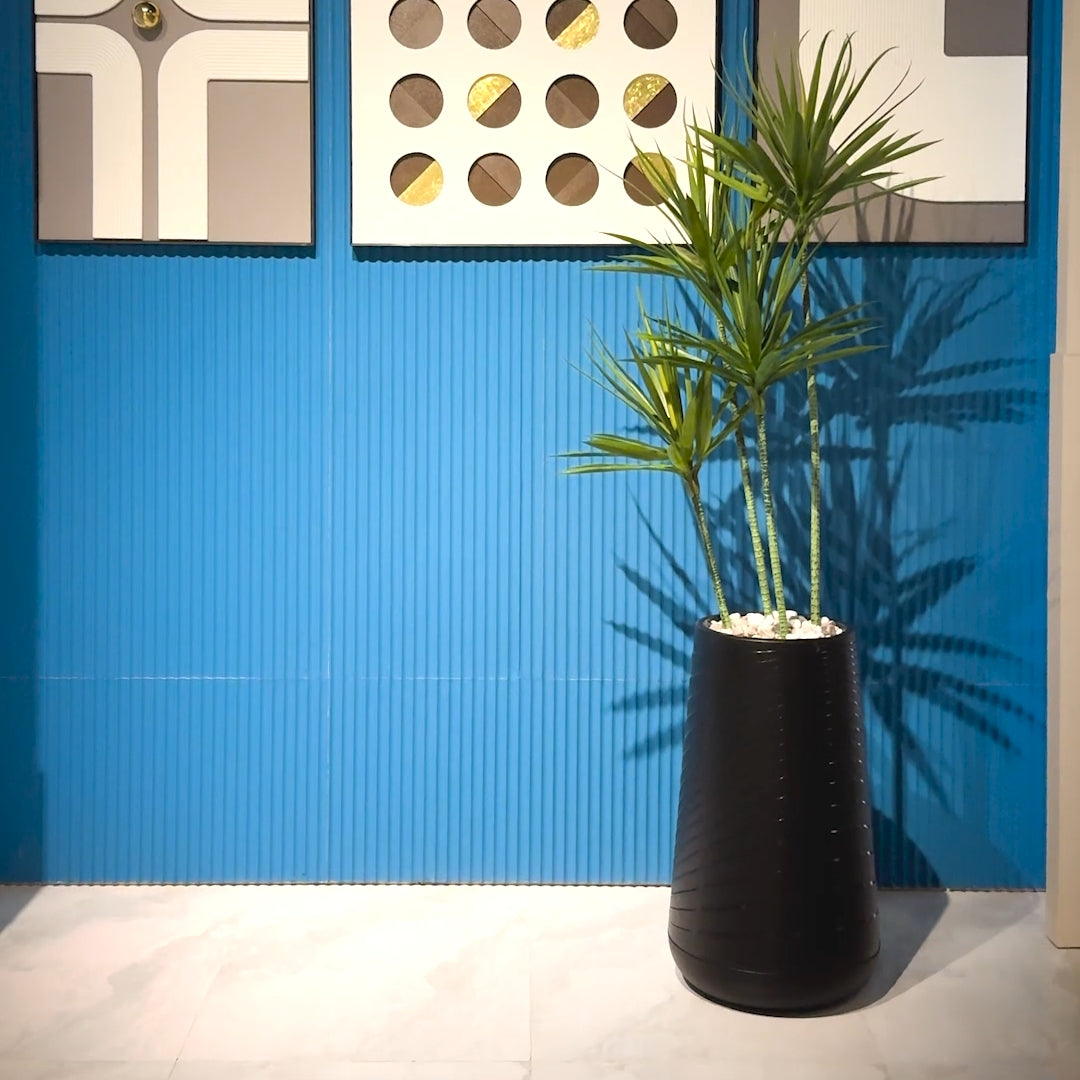 Yucca Plant with Large Spiral Planter