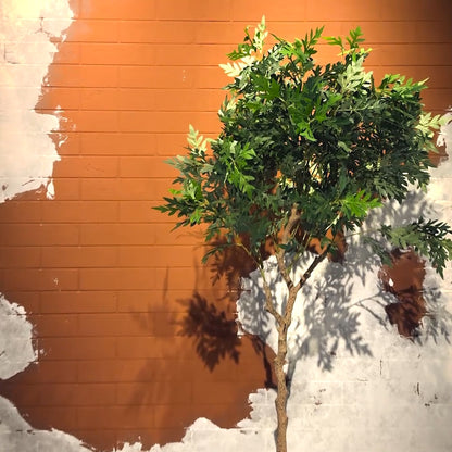 Artemisia Plant with Medium Spiral Planter