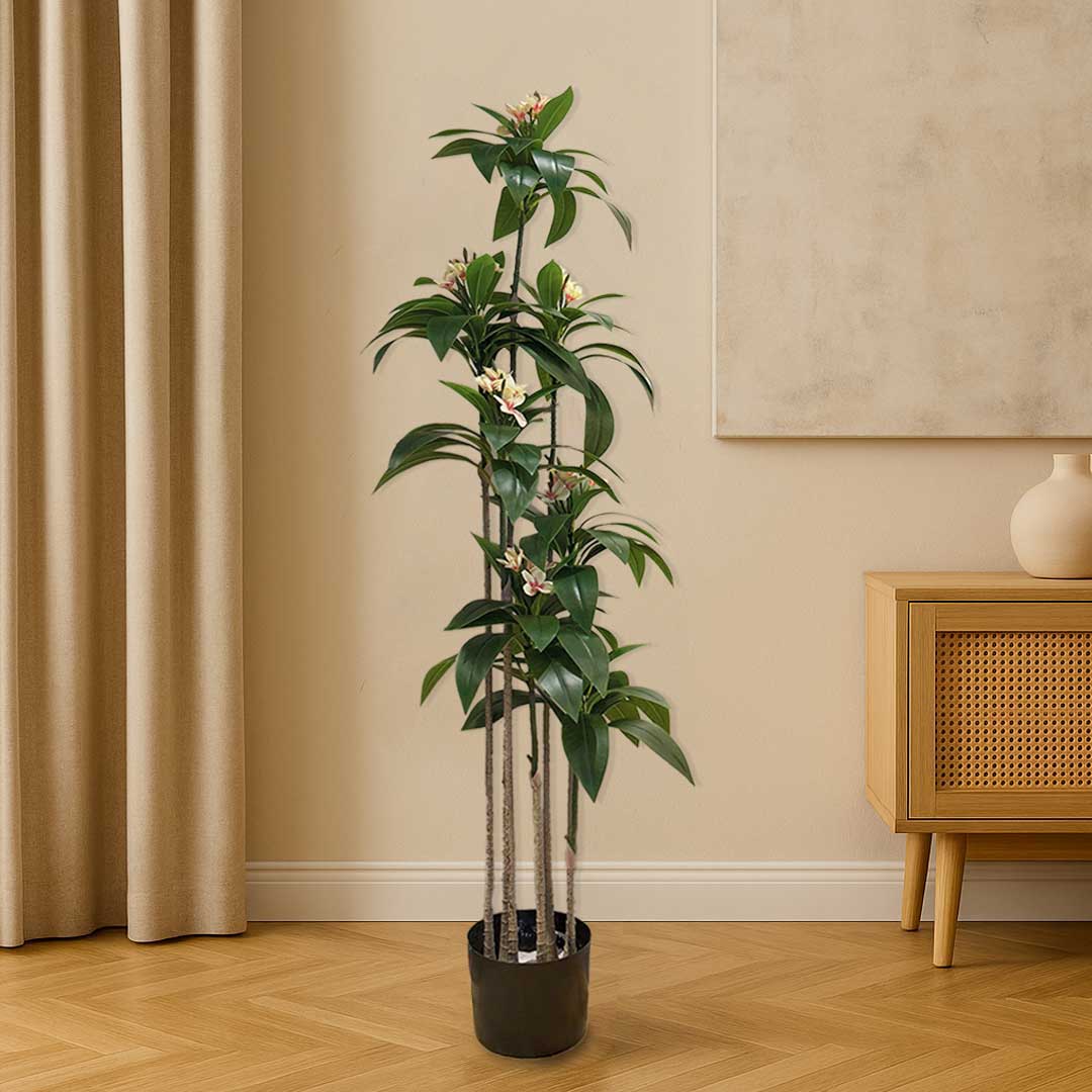Plumeria Large