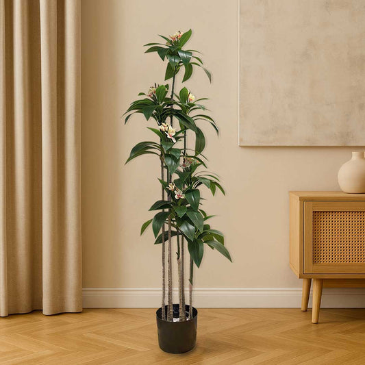 Plumeria Large