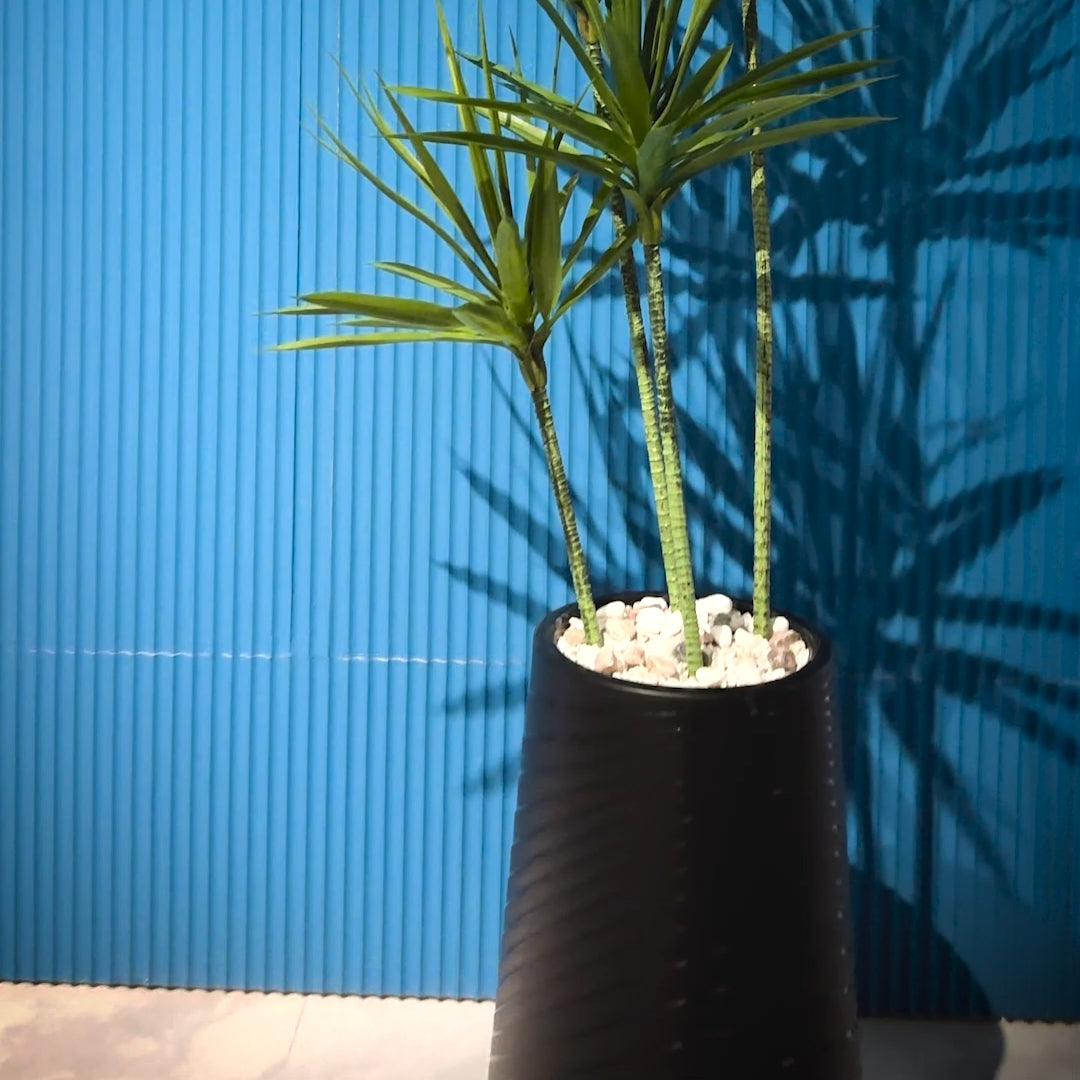 Yucca Plant with Large Spiral Planter