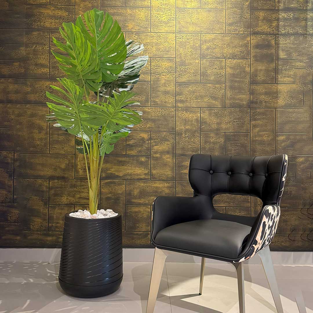 Monsteria with Medium Spiral Planter
