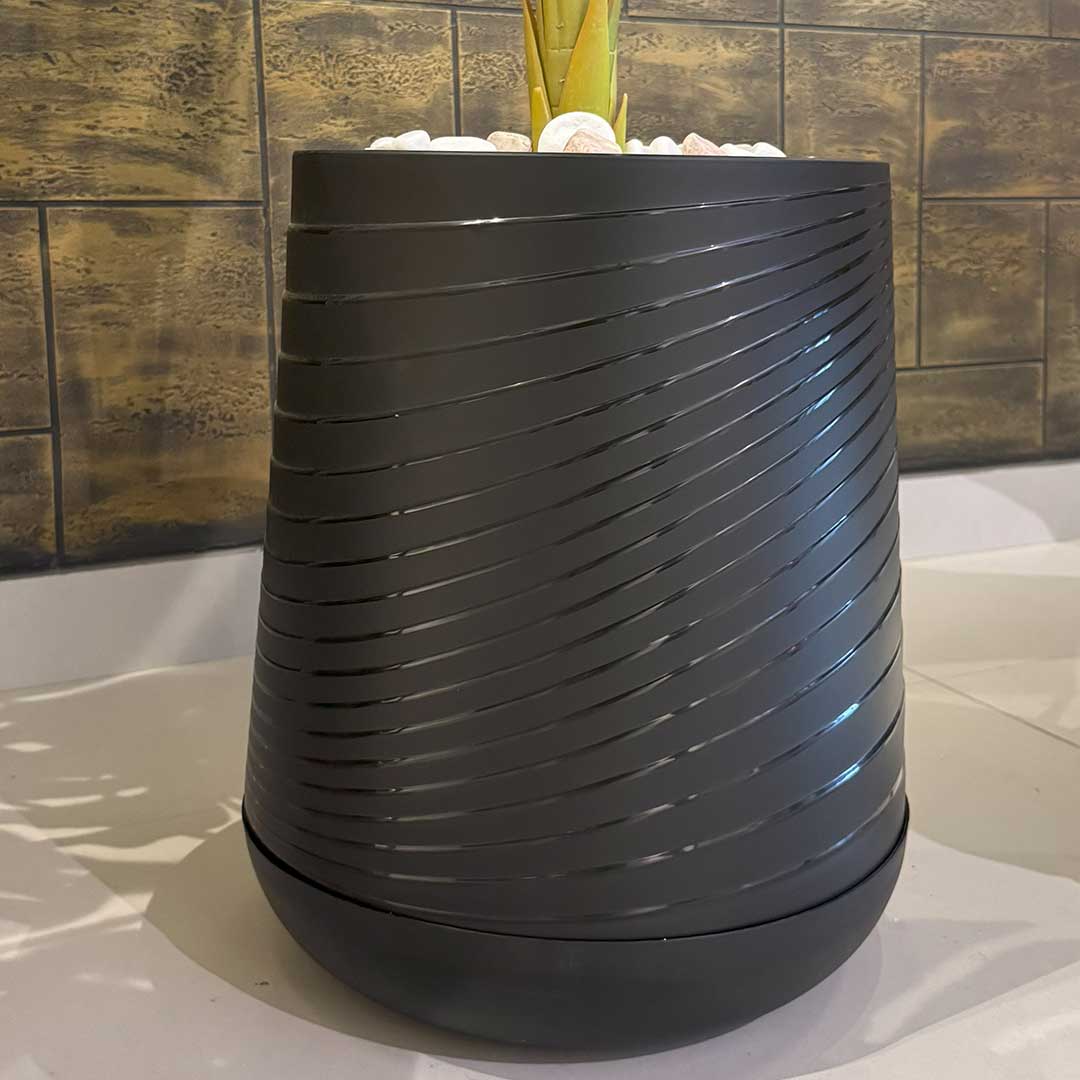 Monsteria with Medium Spiral Planter