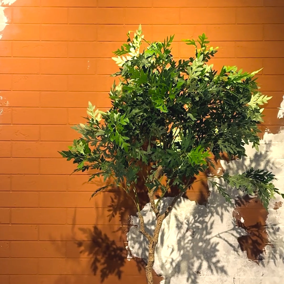 Artemisia Plant with Medium Spiral Planter