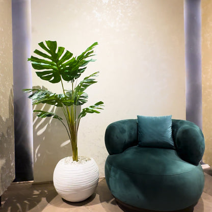 Monsteria Plant with Aura Round Planter