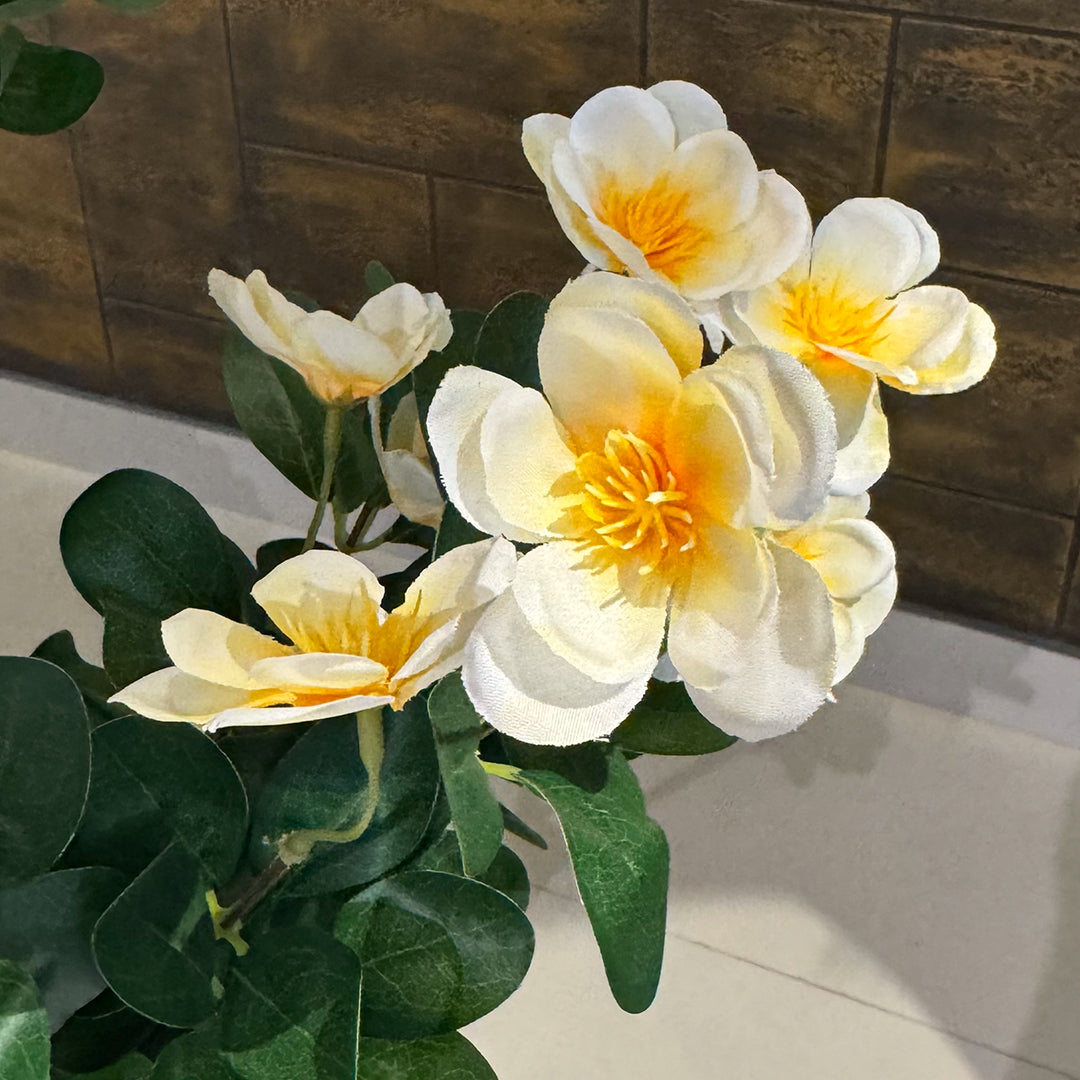 Zen flower