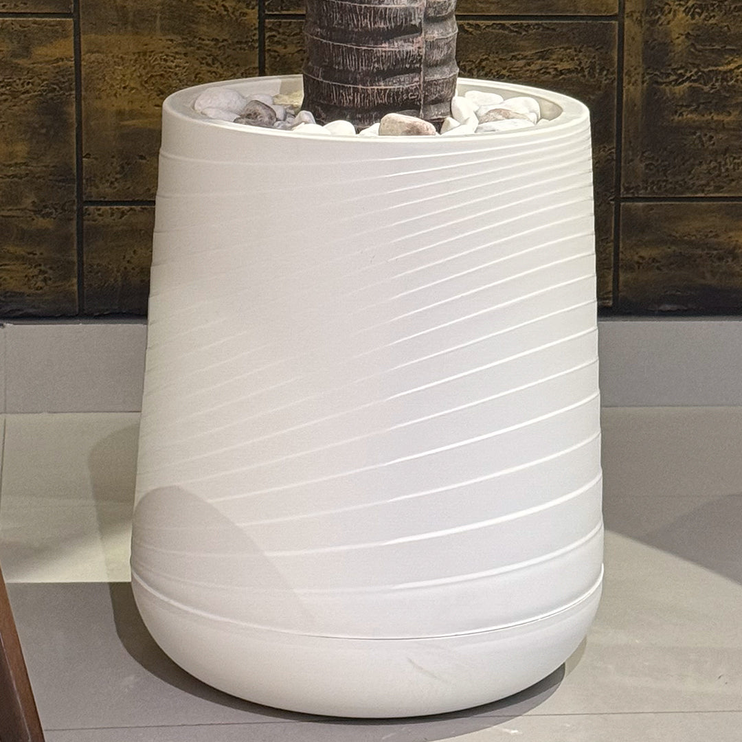Cycus Palm with Small Spiral Planter