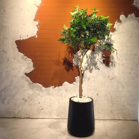 Artemisia Plant
