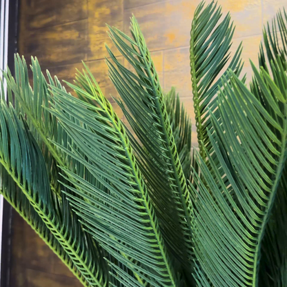 Cycus Palm with Small Spiral Planter
