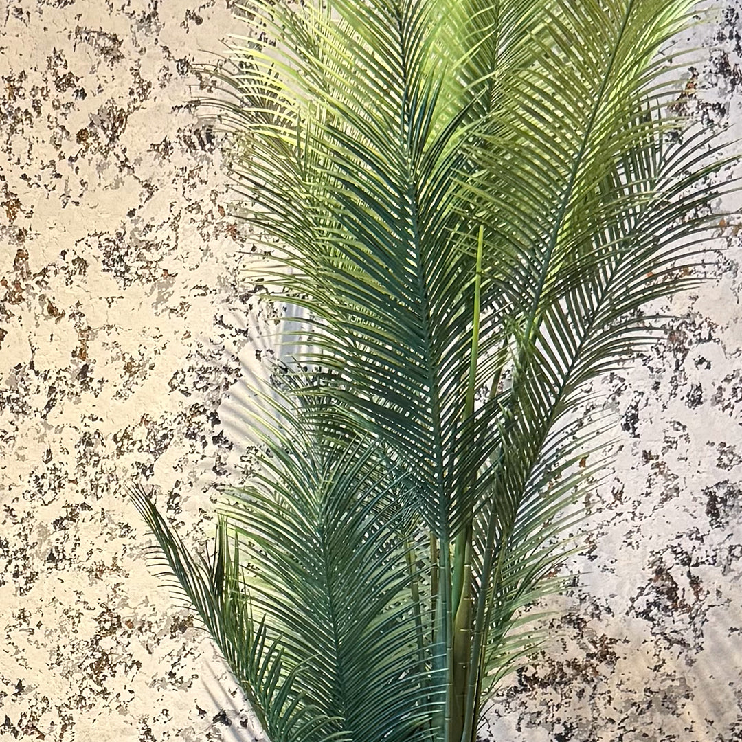 Sago Palm Large
