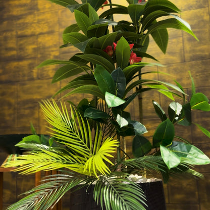 Plumeria Medium with Medium Spiral Planter