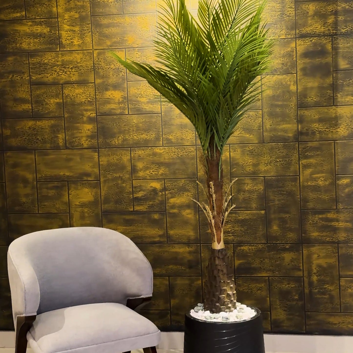 Sago Palm with Medium Spiral Planter