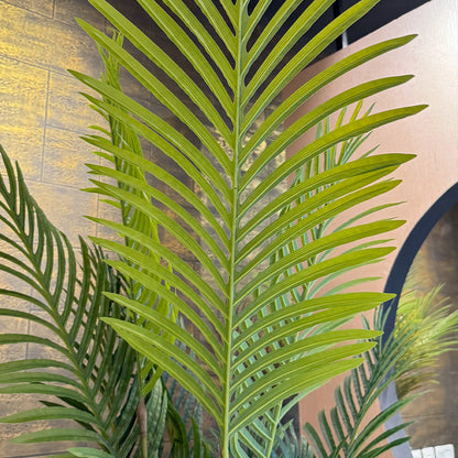 Palm Tree with Large Spiral Planter