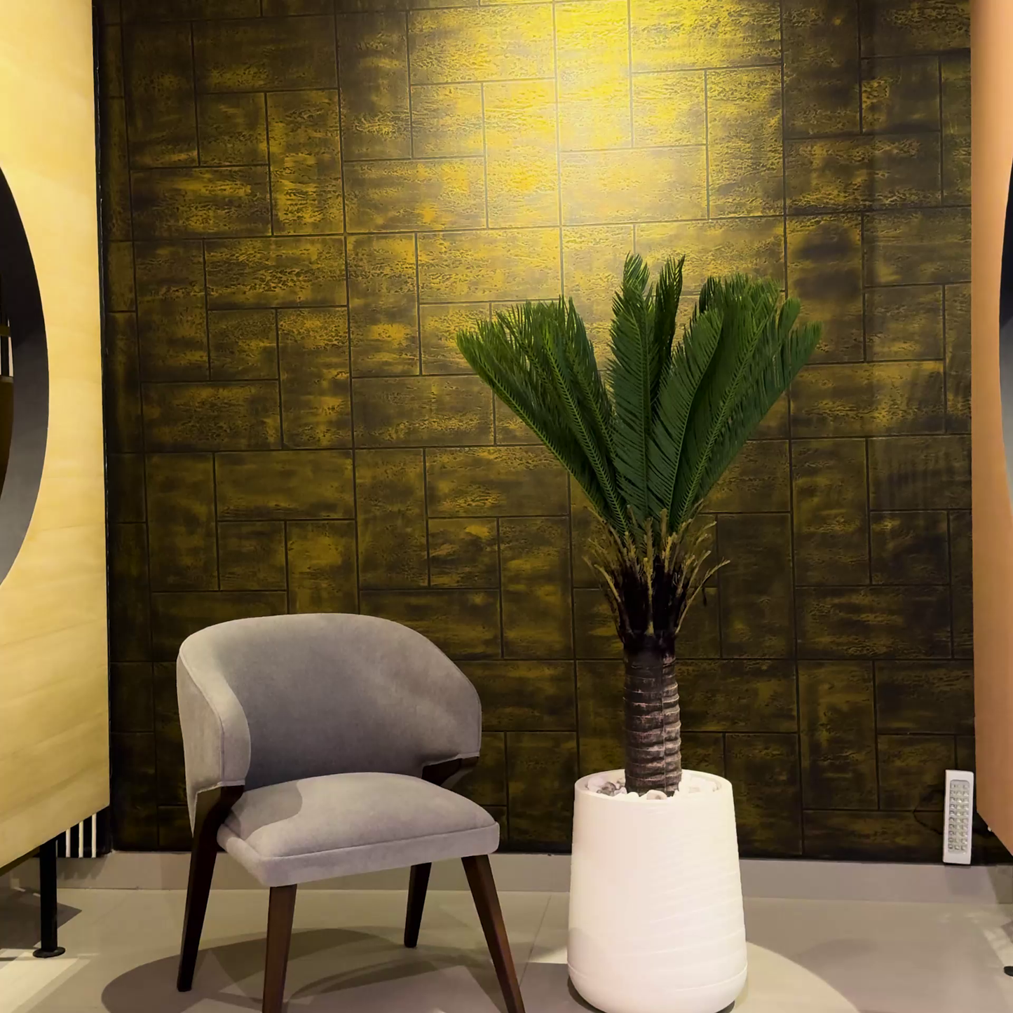 Cycus Palm with Small Spiral Planter