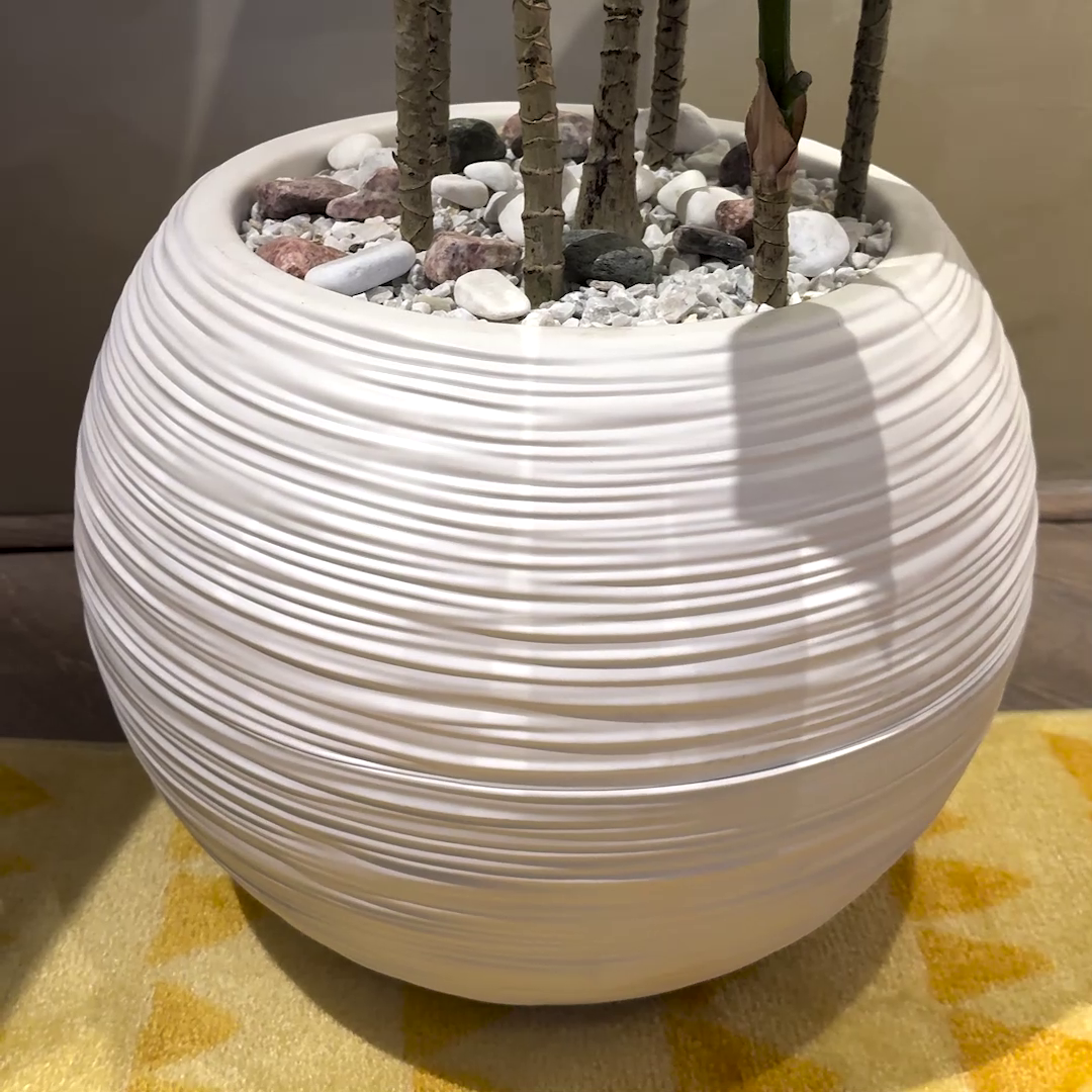 Plumeria (XL) with Aura Round Planter