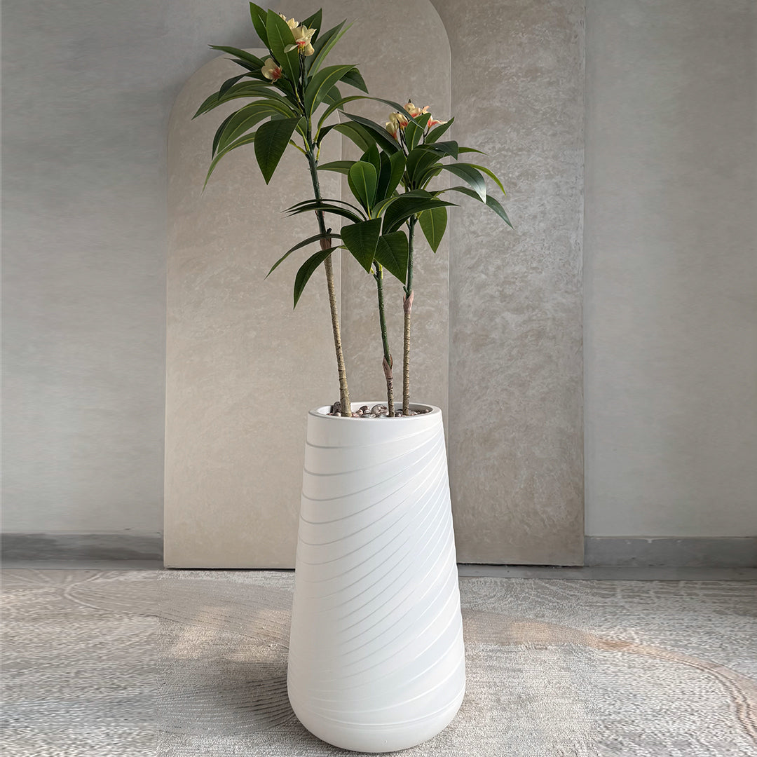 Plumeria Small with Medium Spiral Planter