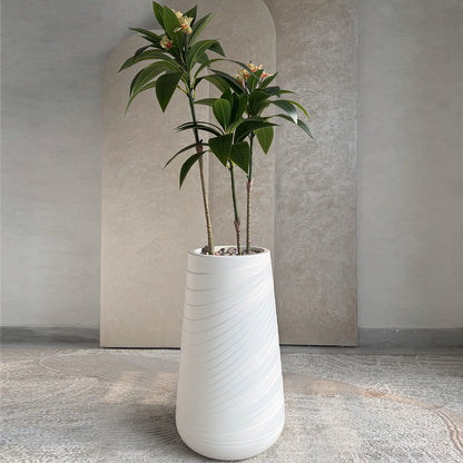 Plumeria Small with Medium Spiral Planter