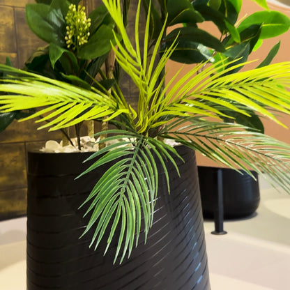 Plumeria Medium with Medium Spiral Planter