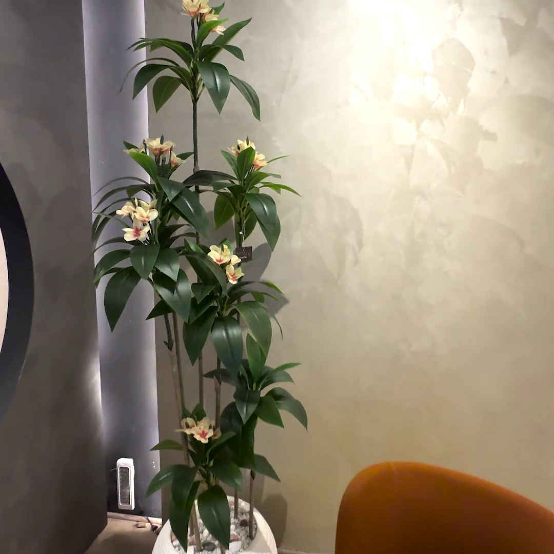 Plumeria (XL) with Aura Round Planter