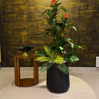 Plumeria Medium with Medium Spiral Planter