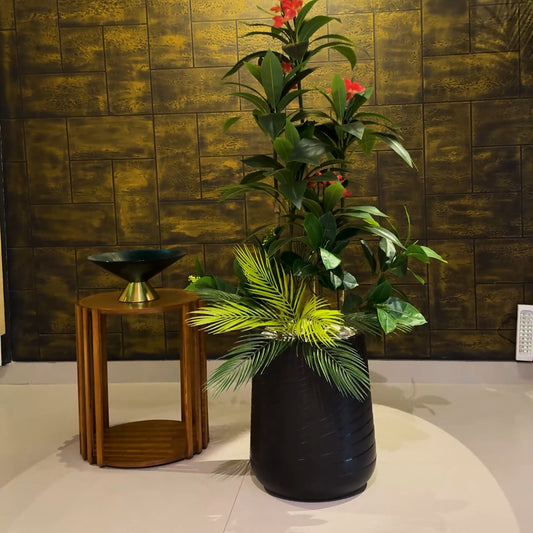 Plumeria Medium with Medium Spiral Planter