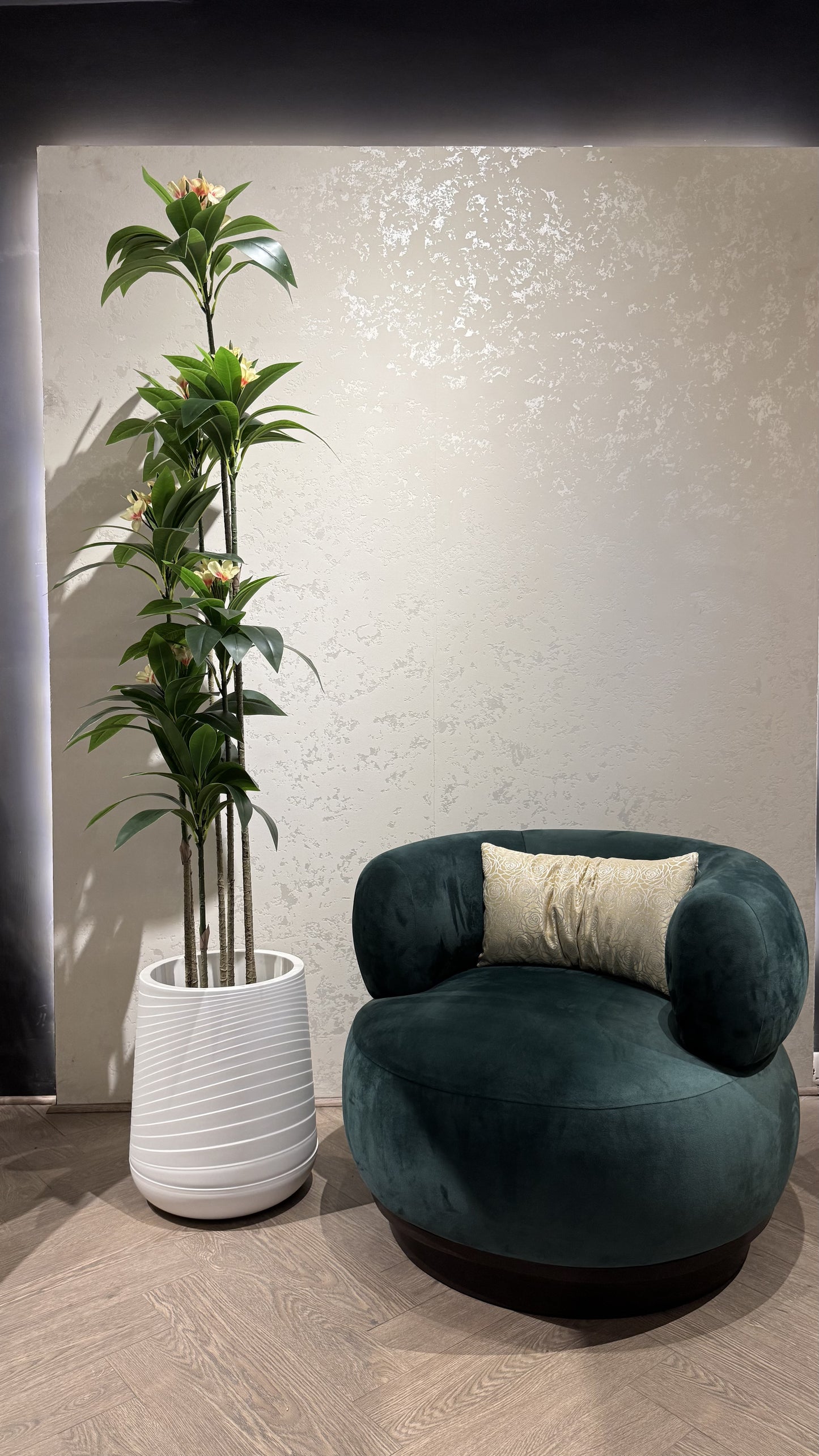 Plumeria (XL) with Medium Spiral Planter