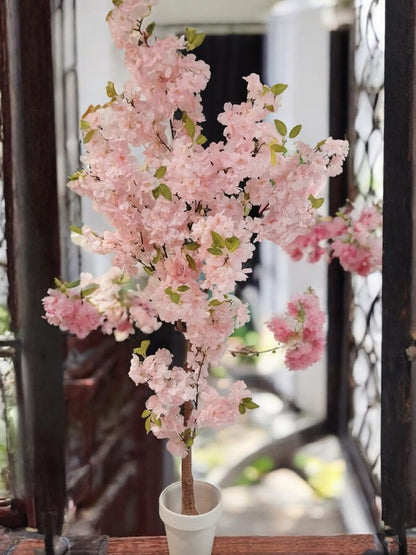 Blossom Plant