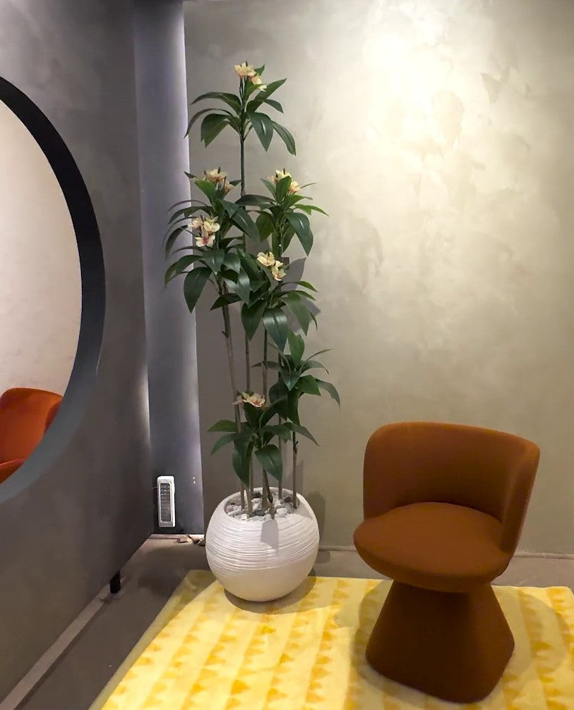 Plumeria (XL) with Aura Round Planter