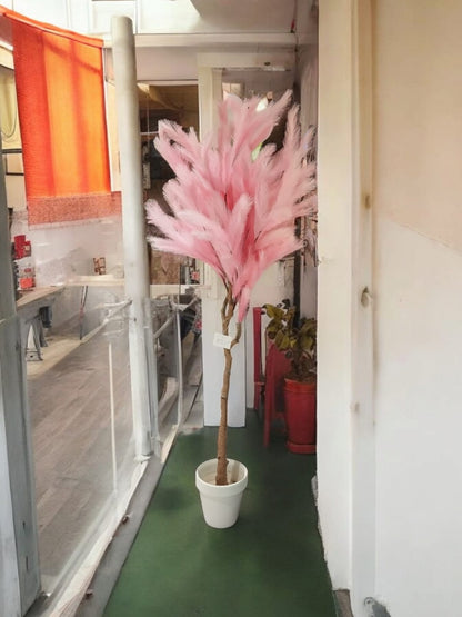 Italian Fur Plant