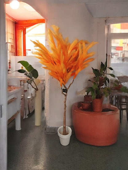 Italian Fur Plant