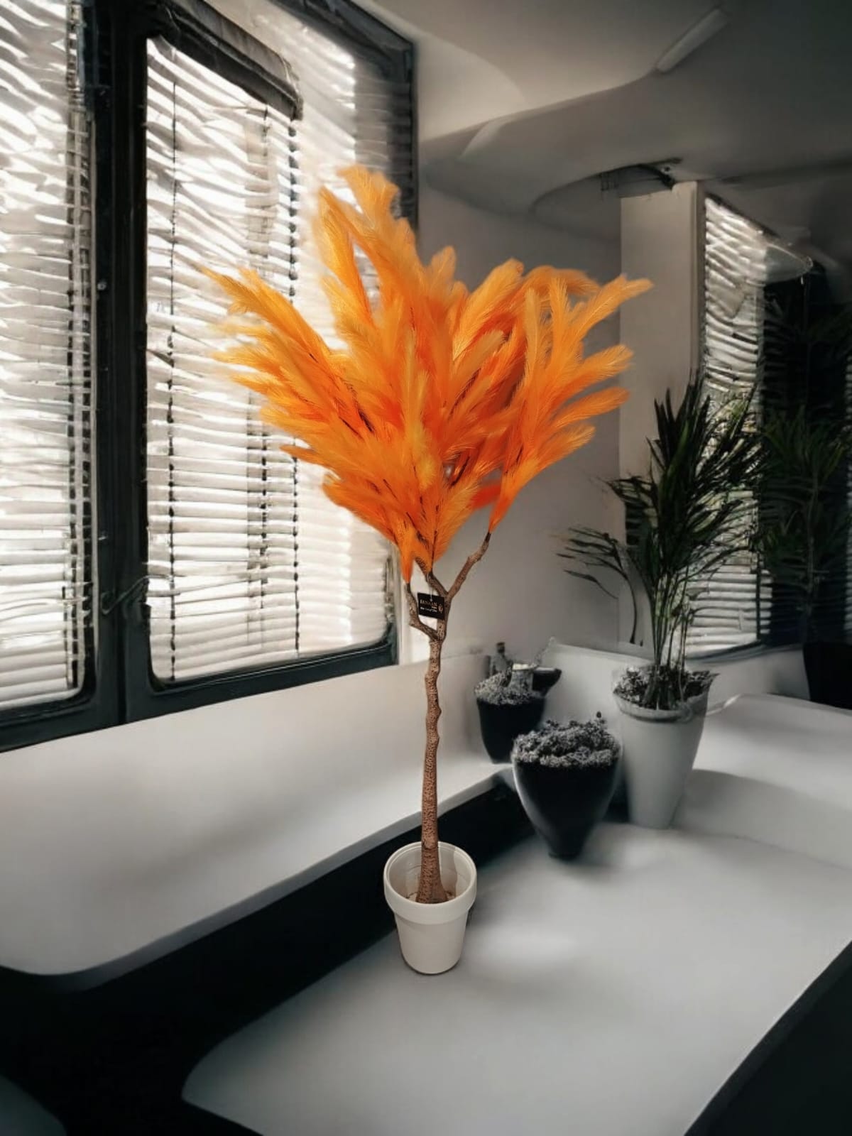 Italian Fur Plant