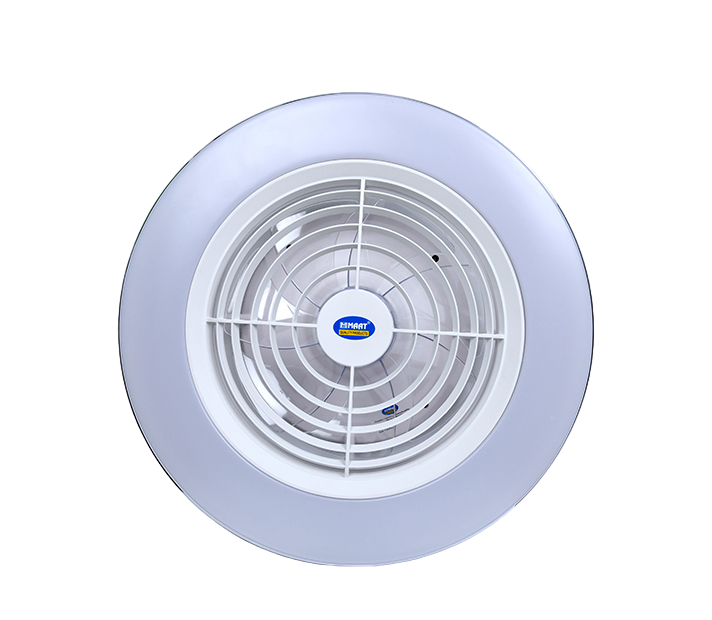 Smart Ceiling Fan with LED